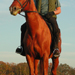 Equinost