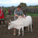 Equinost